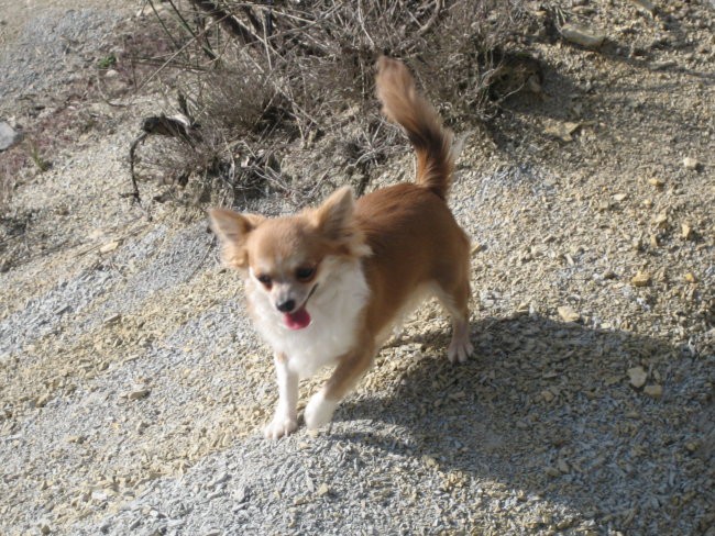 Winnie in Brina - foto povečava