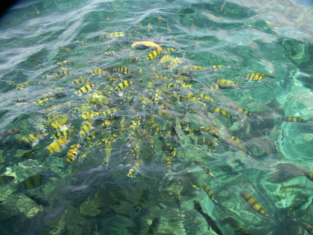 Thailand - foto povečava