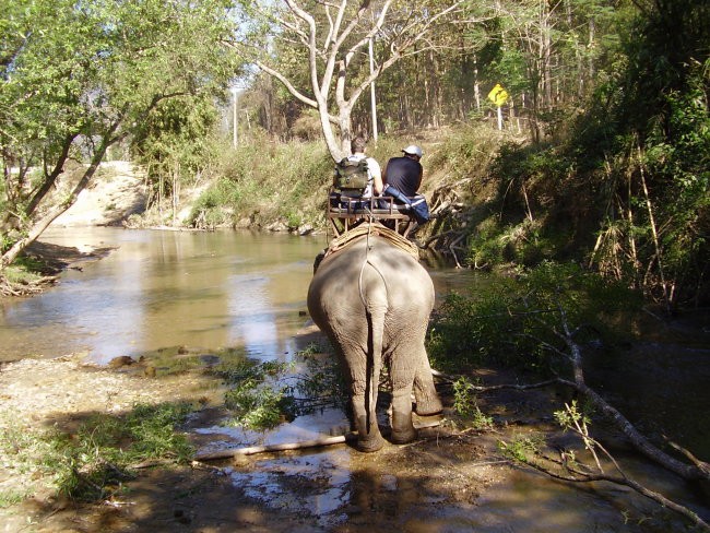 Thailand - foto povečava