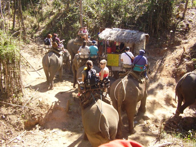 Thailand - foto povečava