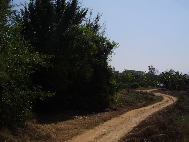 Thailand - foto povečava