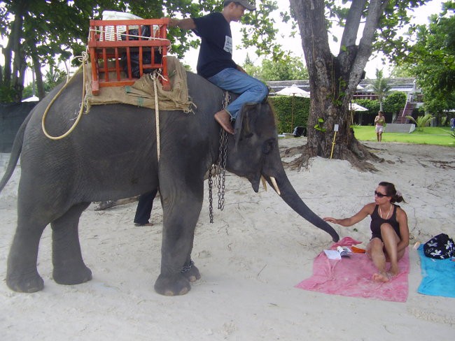 Thailand - foto povečava