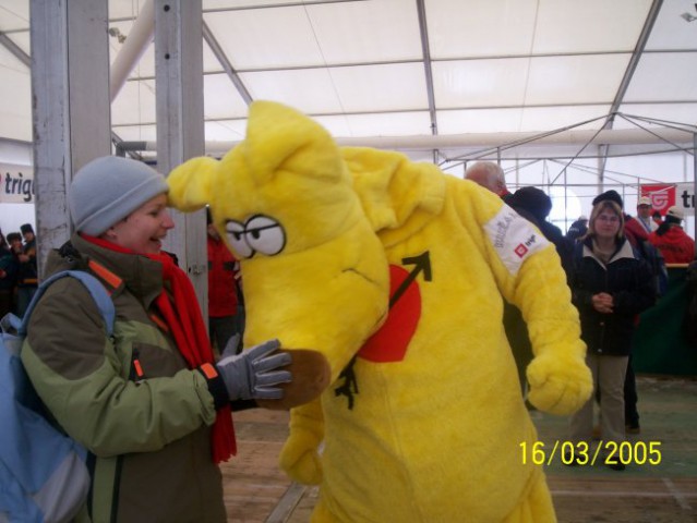 Planica 2006 - foto