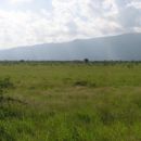 Kenija Tsavo East