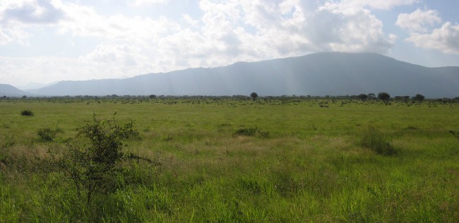 Kenija Tsavo East