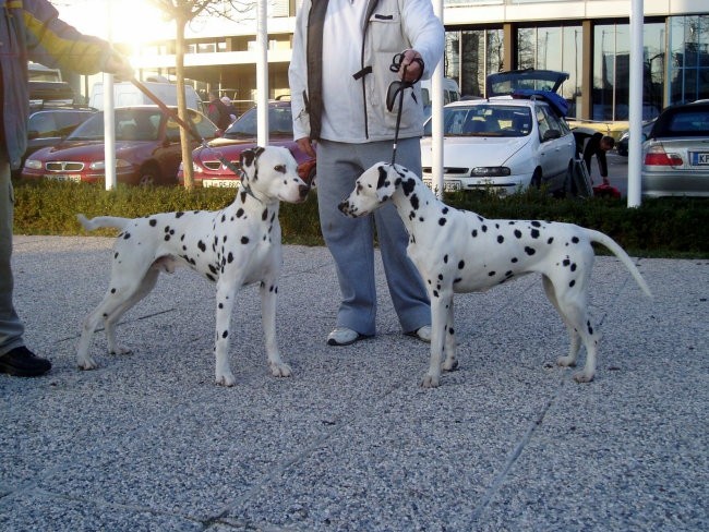 Rocky & Verona