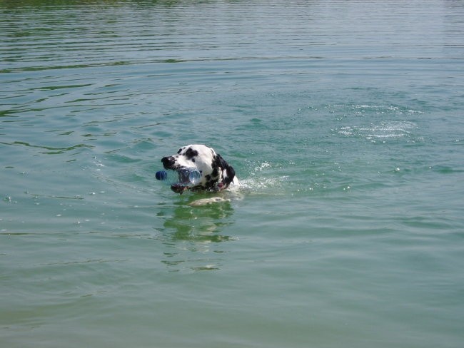 Otvoritev kopalne sezone 2007 - foto povečava