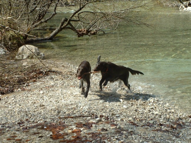 Iski vintgar - 13. april 2006 - foto povečava