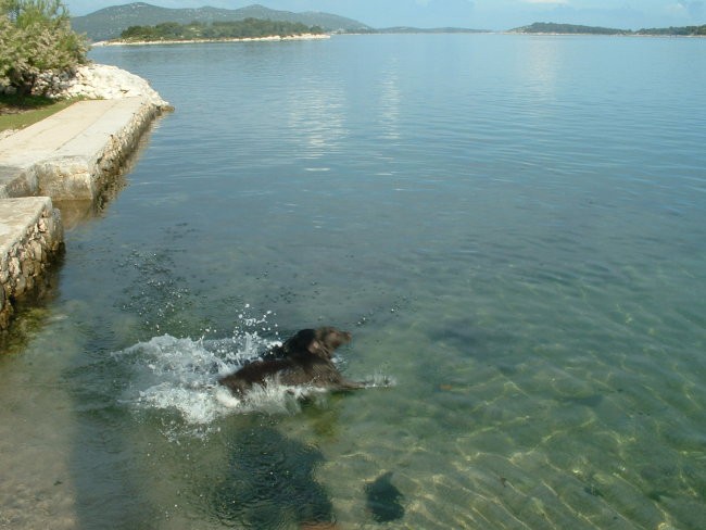 Murter, Maj 2006 - foto povečava