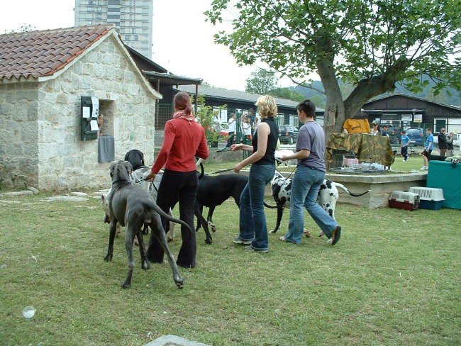 Split, 6.maj 2006 - foto povečava