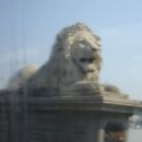 lev na mostu 