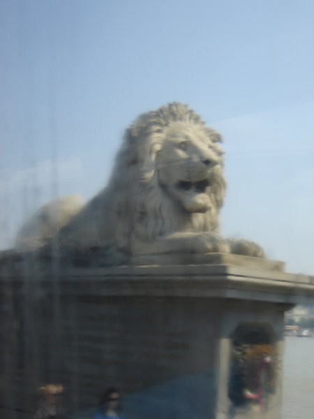 lev na mostu 
