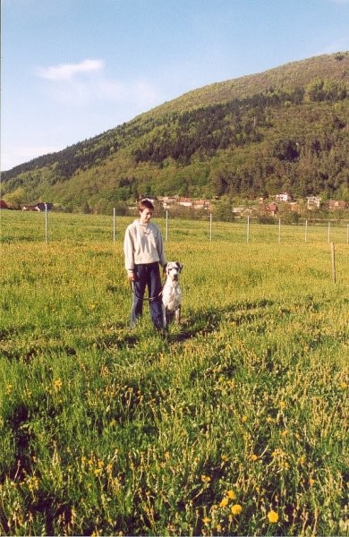 Hailey-Nemška doga - foto povečava