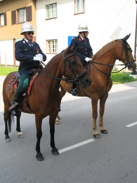 Konj-Fičur - foto