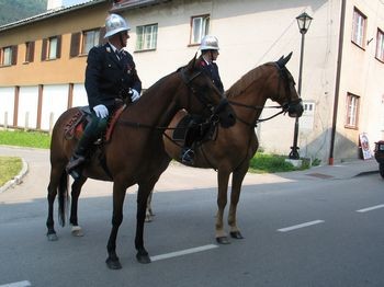 Konj-Fičur - foto