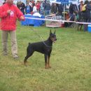 cac marof 2008