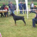 cac marof 2008