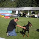 cacib vž 2007