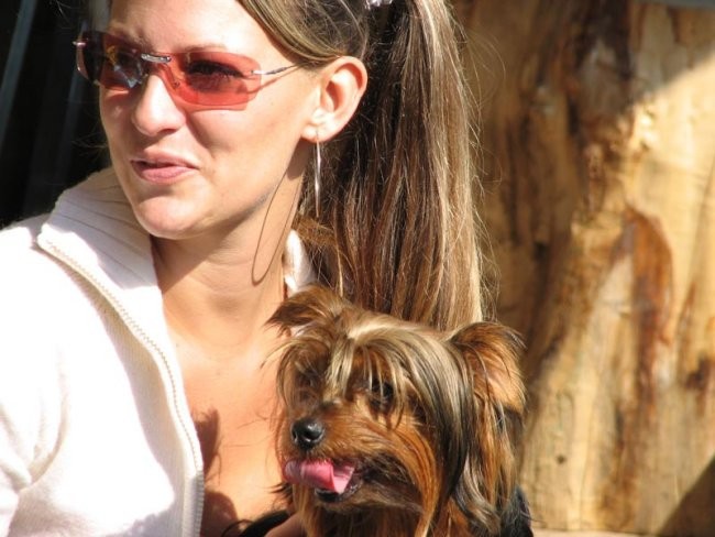 Kužek - foto povečava