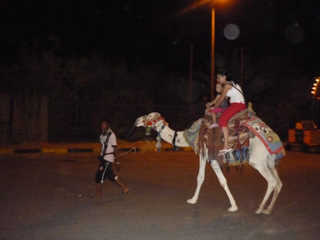 Egipt 2010 - foto