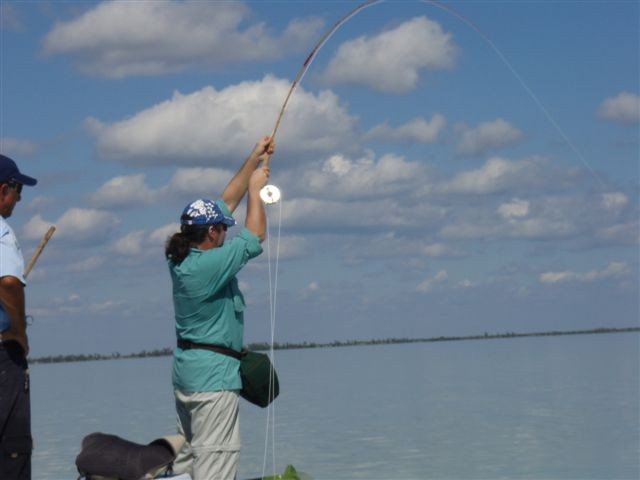 Bonefish Guide Special - foto