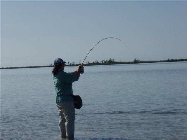 Bonefish Guide Special - foto povečava