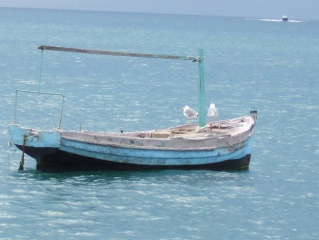 Kolesarjenje iz Komende v Dubrovnik - foto