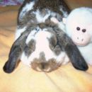 ...njen frend...2
