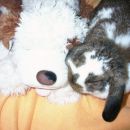 ...nejn frend..1