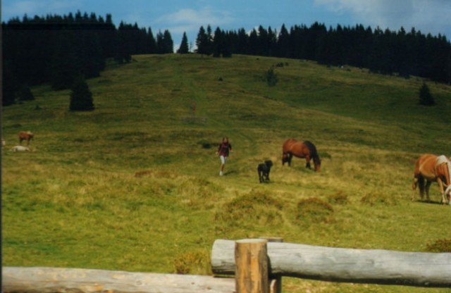 Bolha - foto