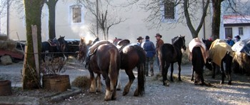 Sončno, mrzlo - samo sneg je manjkal....