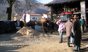 Žegenj konj 2007