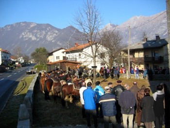 Žegenj konj 2007