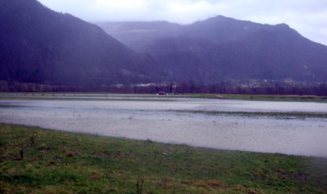 Poplavljena polja