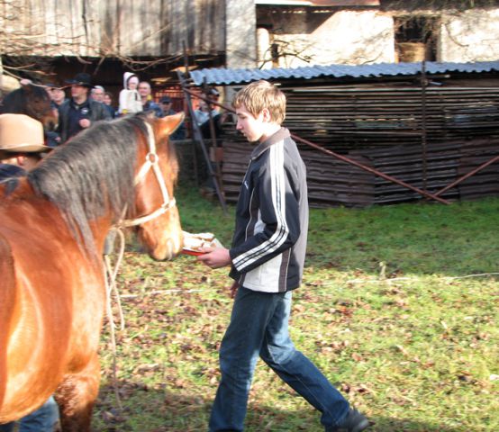 Žegenj konj - 26.12.2009