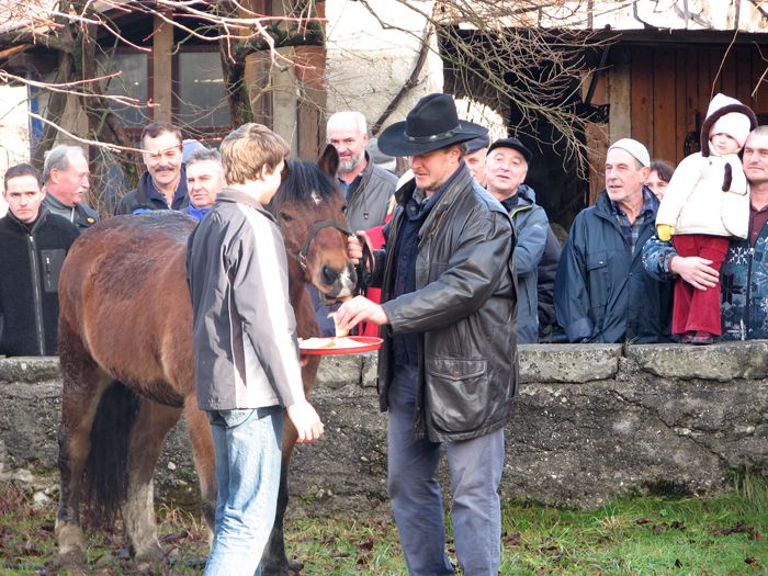 Žegenj konj - 26.12.2009