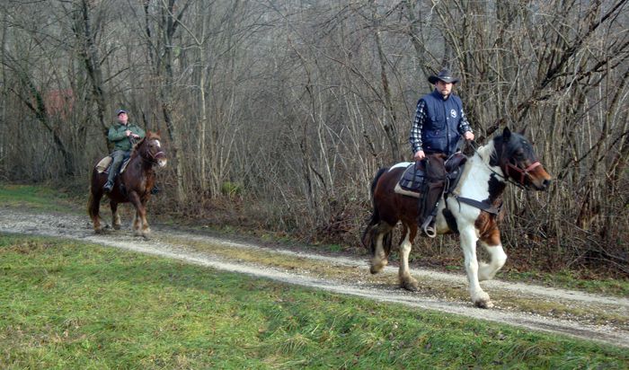 Žegenj konj - 26.12.2009