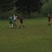Nogometni turnr Žaga 2010 - Ekipa Idrskega - končno 3.mesto