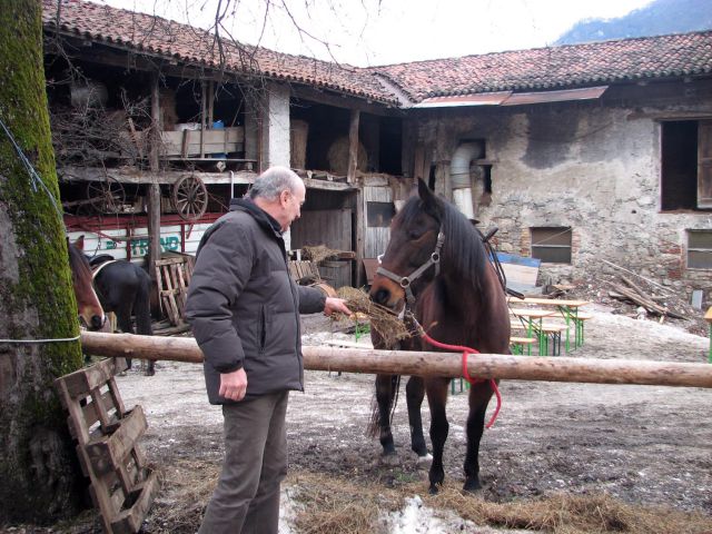 Žegenj konj 26.12.2010