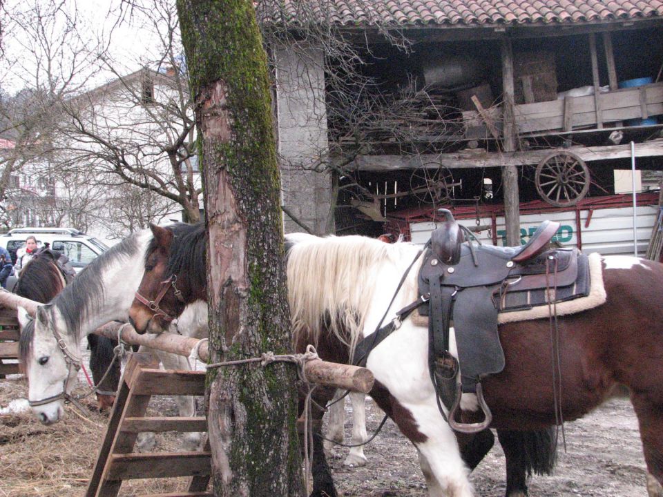 Žegenj konj 26.12.2010