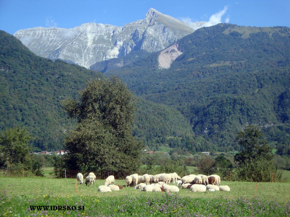 Zgodovinska pot Idrsko