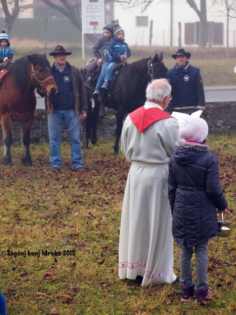 Žegenj konj 2015 - foto