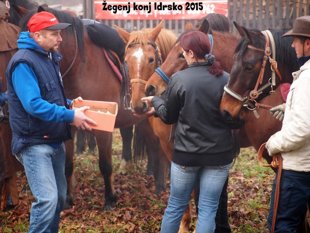 Žegenj konj 2015 - foto