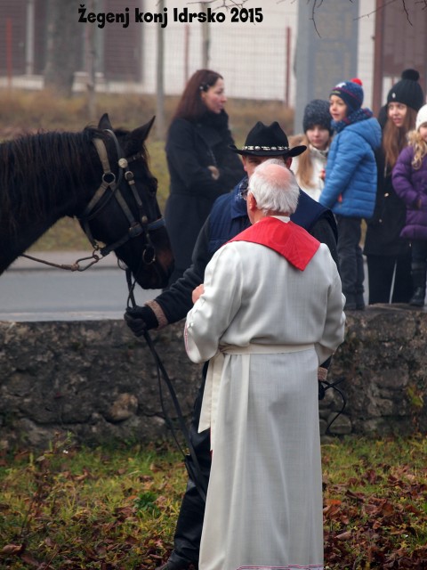 Žegenj konj 2015 - foto