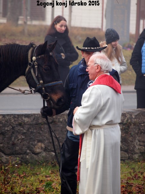 Žegenj konj 2015 - foto