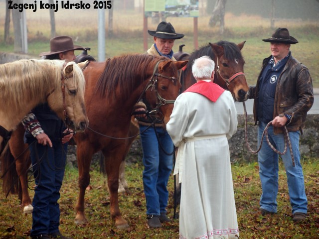 Žegenj konj 2015 - foto