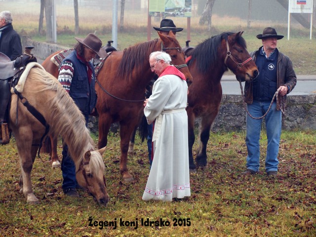 Žegenj konj 2015 - foto