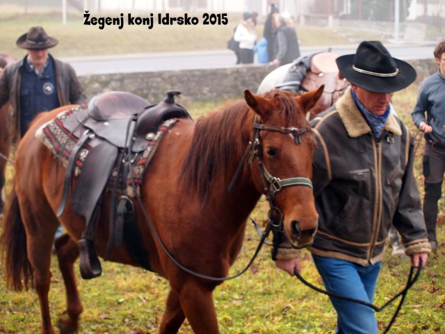 Žegenj konj 2015 - foto