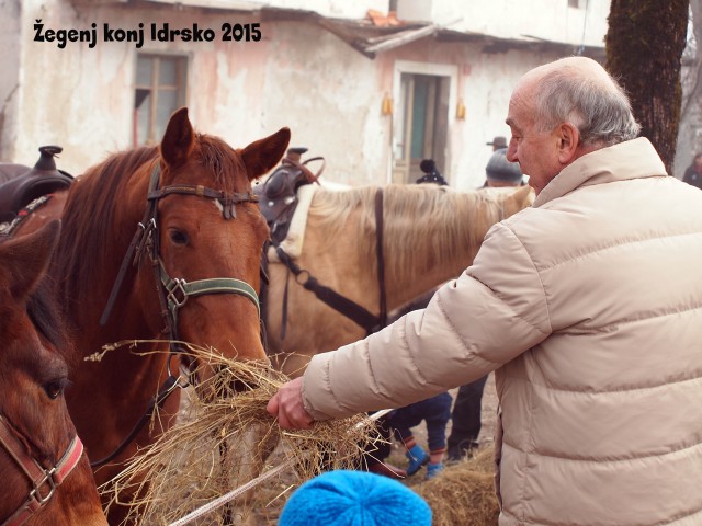 Žegenj konj 2015 - foto