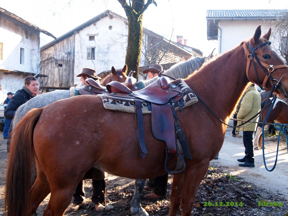 Žegenj konj 2014 - foto povečava